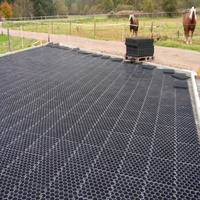 Grille de pavage perméable pour la gestion de la boue, idéale pour les pâturages équestres sans boue, les fermes et les manèges.