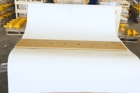 Bulldozer Bit End Blade Fabricant Vente directe 175-70-26310