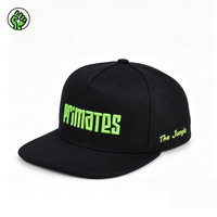 Casquette Snapback Personnalisable avec Broderie 3D Style Hip Hop Vintage pour le Sport et les Activités de Plein Air