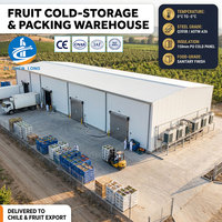 Kits de construction d'entrepôts préfabriqués en acier modernes avec garantie de plus de 5 ans pour les usines et les startups manufacturières