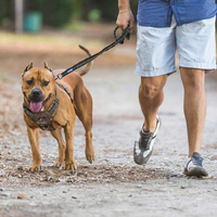 Harnais tactique d'entraînement pour chien, gilet de sécurité sans traction, laisse et harnais tactiques réfléchissants pour chien