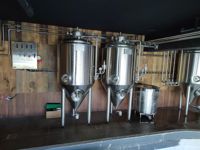 Mini Système de Brassage Domestique en Acier Inoxydable 304/316 50L 100L 200L Équipement de Microbrasserie Haute Performance avec Conception CAO/3D Avancée et Pression Optimisée