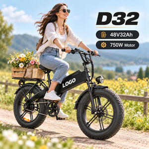 Bicicleta Eléctrica de Carga D32, 48V32Ah, 128km de Autonomía, 200kg de Carga, Freno Hidráulico, Fábrica OEM - Product Image 1