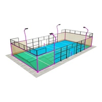 Pista de Pádel Clásica Resistente para Escuelas, Patios de Recreo y Clubes Deportivos Comunitarios
