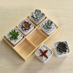 Wooden Divider Succulent <b>Plant</b> <b>Pot</b> Desktop Storage Box Display Tray Multi Compartment Potted <b>Plant</b> Wooden Box - Product Image 1