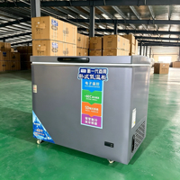 Congélateur coffre OEM ODM, classe énergétique A++, dégivrage automatique, panier amovible, congélateurs coffre pour la maison, congélateur coffre profond