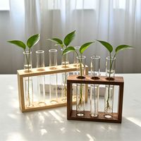 Support mural en bois pour vase hydroponique et plante Pothos – Décoration murale moderne et minimaliste pour salon et chambre à coucher