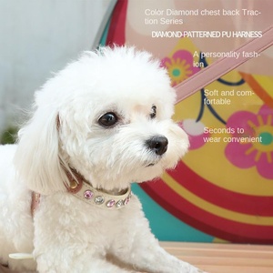 Arnés de Lujo para Perro, Diseño Deportivo y de Moda, Personalizado, con Patrón Sólido, Impermeable, Transpirable, con Cinta de PU - Product Image 3