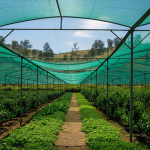 Large <b>Green</b> Shade <b>Net</b> House Agricultural Tunnel Greenhouse Mesh Cover for Vegetable Flower Farm Growing Fortune Agro <b>Net</b> - Product Image 1