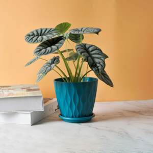 Pots de fleurs <span class=keywords><strong>en</strong></span> plastique pour l'extérieur <span class=keywords><strong>pot</strong></span> de fleurs léger et durable ensemble de table <span class=keywords><strong>pot</strong></span> de fleurs décoratif d'intérieur vente <span class=keywords><strong>en</strong></span> gros - Product Image 3