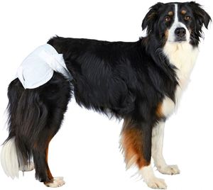 Couches absorbantes pour chiens mâles et femelles S M L XL, protection contre les fuites, couches jetables pour chiens - Product Image 2