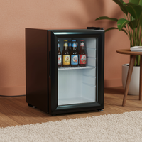 Mini réfrigérateur à boissons de 21 L, thermostat transparent, utilisation à domicile, bar, petit réfrigérateur