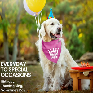 Bandana pour chien ajustable unisexe, mouchoir triangle, bavoir jaune imprimé «Born Run», accessoire de vêtements pour animaux de compagnie lavable et mignon - Product Image 6