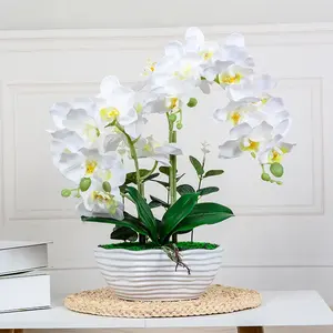 China Fabriek Leveren Kleur Kunstmatige Orchidee Bloem Groene Plant Met Cement Pot