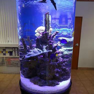 Grand aquarium sur mesure en verre acrylique, aquarium artificiel pour poissons - Product Image 4