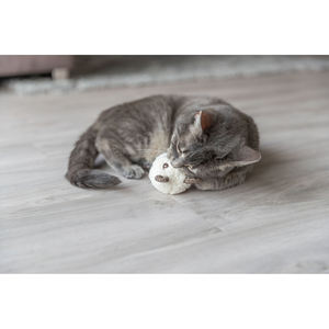 Oso de Peluche de 8 cm, Varios Colores, Juguete Interactivo para Mascotas - Product Image 4