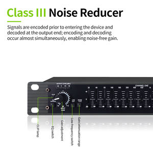 RAYHAYES 215 apparecchiature Audio professionali equalizzatore grafico a 31 bande di alta qualità con microfono Recordio - Product Image 5