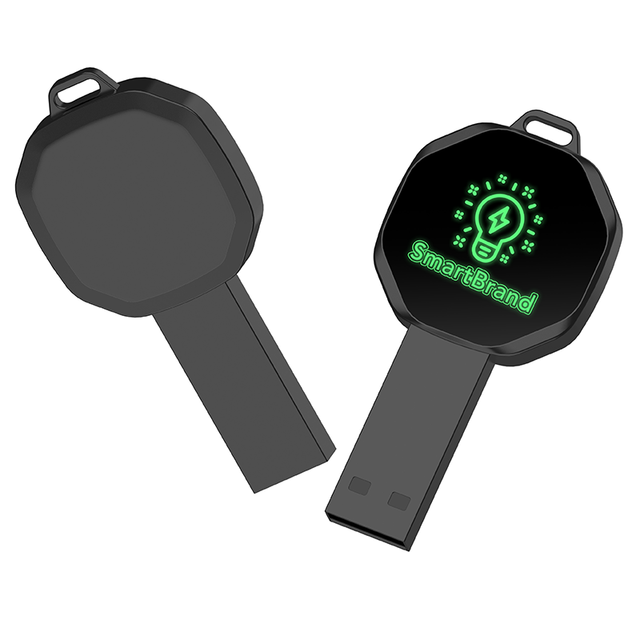 New Arrival Big Key Shape Metal USB 2.0 Flash Drive with Custom Logo-4GB/8GB/16GB/32GB CE/RoHS/FCC Certified 1-Year Warranty