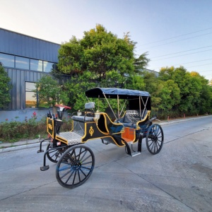 Carroza Eléctrica de Lujo con Dos Filas de Asientos para Recorridos Turísticos, Estilo Victoria, Carroza Real Histórica - Product Image 1