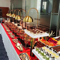 Lampu Pemanas Makanan Listrik Dapur Komersial, Penghangat Prasmanan Isolasi Termal 250W 220V/110V untuk Hotel Restoran