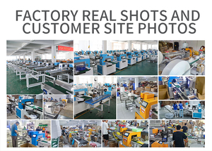 מכונת אריזה לשקיות בועות אוויר למשלוחים, מכונת אריזה לאריזת ביסקוויטים, מכונת אריזה לאריזת חבילות, מכונת אריזה עם ניילון בועות. - Product Image 3