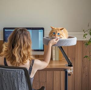 Mini Floating <span class=keywords><strong>Cat</strong></span> Nest Optische Verfolgung Desktop Katzen bett LED Hintergrund beleuchtung Rechts ausrichtung Büro <span class=keywords><strong>Cat</strong></span> Climbing Rack Desk Stock - Product Image 2