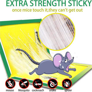 กับดักกาวหนูขนาดใหญ่ แผ่นกาวดักหนูและหนูตัวใหญ่ กำจัดแมลงสาบได้อย่างมีประสิทธิภาพ - Product Image 5