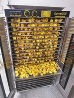 Industriële Commerciële Voedsel Dehydrator/Groente Fruit Drogen Machine Leverancier