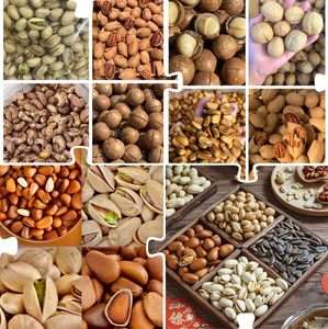 Máquina tostadora de cacahuetes de alto rendimiento, semillas de cacahuetes, nueces, <span class=keywords><strong>grano</strong></span> de café, tostador de secado para Freír con el <span class=keywords><strong>mejor</strong></span> precio - Product Image 5