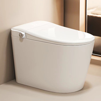 Chasse d'eau automatique Closestool Cuvette de toilette intelligente Articles sanitaires Placard Smart Wc Bidet Douche Ensemble de toilette
