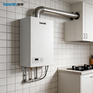 <span class=keywords><strong>Caldera</strong></span> de Gas Natural de Pared Confiable con Intercambiador de Calor de Cobre para Uso Doméstico, Diseño Inteligente de Seguridad y Ahorro de Energía - Product Image 5