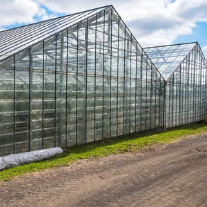 Ariel-invernadero profesional de tamaño personalizado, invernaderos de vidrio multispan a la venta