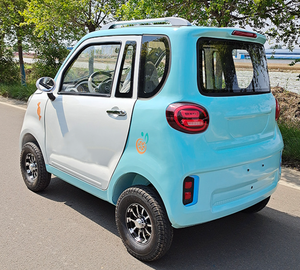 Nhà Máy Bán Hàng Trực Tiếp Tốc Độ Thấp 60V 1000W 2 Cửa Ra Vào Năng Lượng Mới Xe Điện Chất Lượng Cao Mini Xe Điện Hoàn toàn Đóng Cửa Sinh Thái Xe - Product Image 6