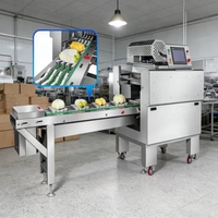 China Leverancier Groentekrimpfolie Machine Automatische Aardappel Rekfolie Verpakkingsmachine Prijs