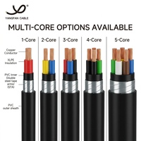 Cables de Energía XLPE Cu/XLPE/PVC Al/XLPE/PVC Blindados SWA 0.6/1kV 1C 2C 3C 4C 5C GB/T 12706