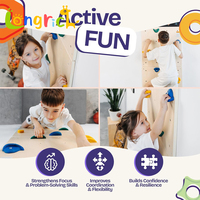 Mur d'escalade pour enfants |   Ensemble de jeu d'intérieur avec tableau noir et 12 supports antidérapants |   Structure d'escalade en bois durable