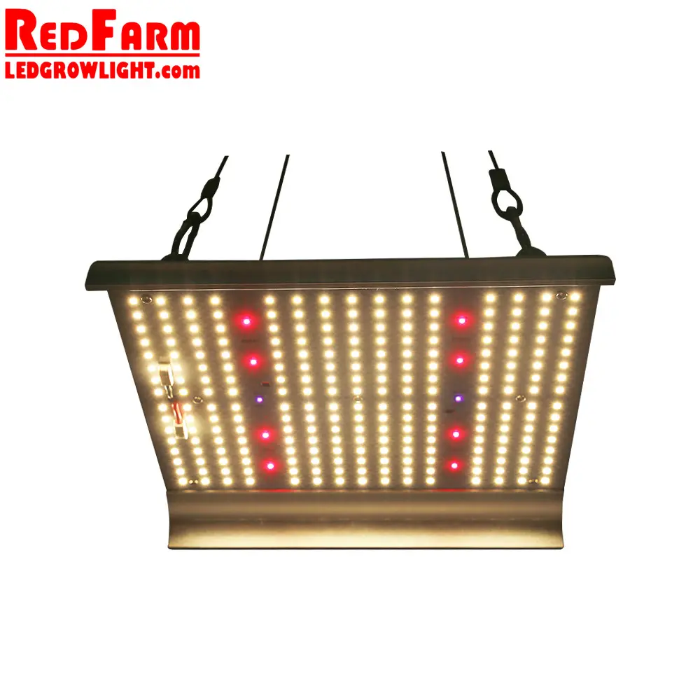 Redfarm 100w Gewächshaus drinnen Landwirt uv ir 3500k lm301B Spektrum Samsung LED wachsen Licht für bessere Pflanzen