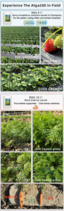 <span class=keywords><strong>Engrais</strong></span> liquide <span class=keywords><strong>organique</strong></span> d'algues noires 100% soluble dans l'eau pour l'agriculture, améliore la sucrerie des fruits - Product Image 6