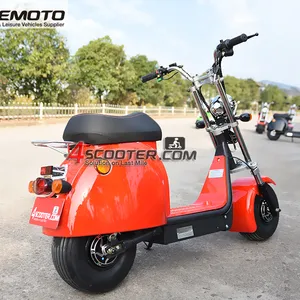 WUXI 2 wheels eco friendly 10INCH electric scooter/adult electric motorcycle made in China
