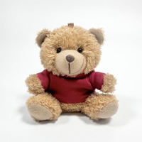 Ours en peluche personnalisé pendentif poupée en peluche coloré bébé vêtements porte-clés achat compagnon cadeau logo imprimé jouet