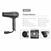 Sèche-cheveux pliable 2000 W, moteur à courant continu, concentrateur et protection contre la surchauffe, OEM