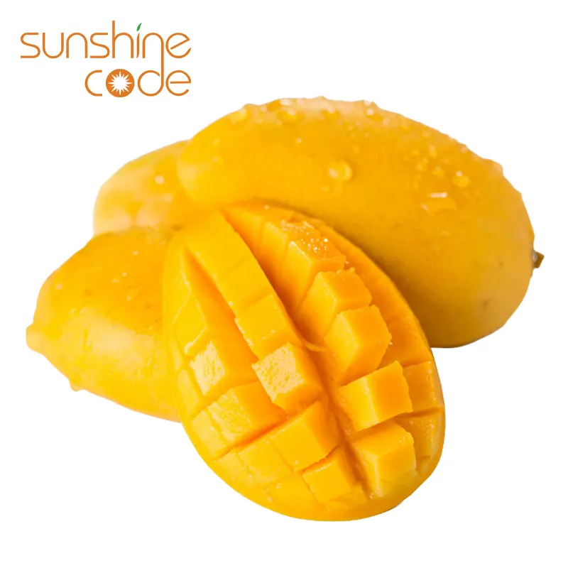Sunshine Code mangue fraîche thaïlande mangue jaune exportation d'Inde alphonso mangue chine