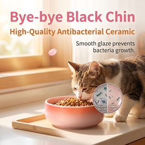 Tazón de Cerámica con Temperatura Constante para Mascotas, Antideslizante, Anti-Acné, 13 cm, 4 Colores Degradados para Gatos y Perros Pequeños, OEM - Product Image 4