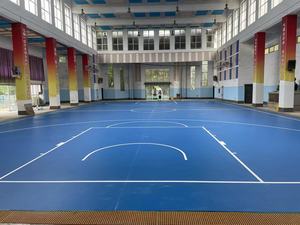 INOLP, suelo deportivo versátil para interiores/exteriores, cancha multideportiva para tenis/baloncesto, suelo deportivo sintético de PU de silicona - Product Image 2