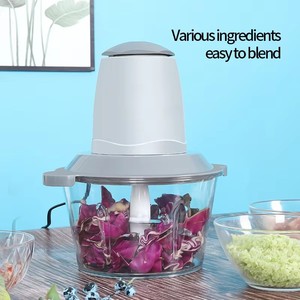 Tritacarne Elettrico e Affettatrice 2L in Acciaio Inossidabile Moderno per Uso Domestico - Product Image 4