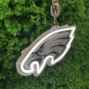 Vente chaude USB Alimenté SF NFL Neon Light LED Collier Luminosité Réglable Football Logo de L'équipe pour Voiture Cheerleading pour Garçons - Product Image 5