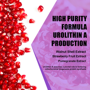 Private Label Urolithin A Vegan Capsules with Urolithin A Proprietary <b>Blend</b> Improve Cardiovascular Health and Metabolic Function - Product Image 2