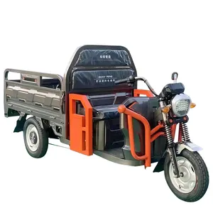 China Manufacture Customized High Click High Performance 3 Wheel Lithium Battery Tricycle Adult