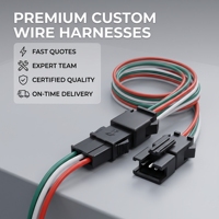 Custom SM 2.5mm Pitch PVC Y Splitter Wiring Harness 1 Male to 2 Female Connector Cable Y-Branch Cable for LED Strip Light 12V