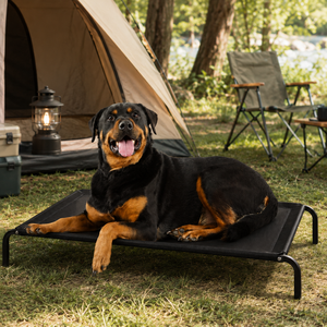 Nouveauté 2026 : Lits <span class=keywords><strong>pour</strong></span> chiens de luxe modernes et écologiques, avec motif uni et housse amovible lavable, <span class=keywords><strong>pour</strong></span> grands chiens - Product Image 3